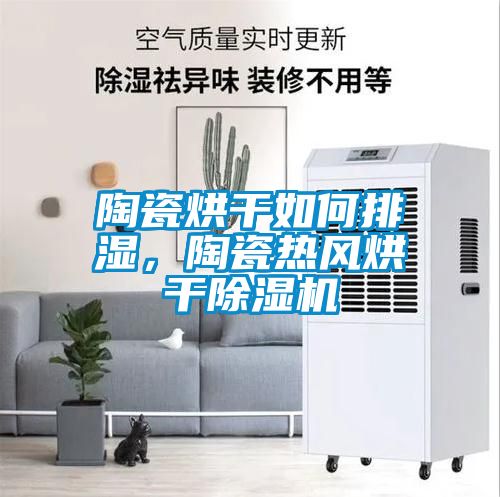 陶瓷烘幹如何排濕，陶瓷熱風烘幹91看片在线下载機