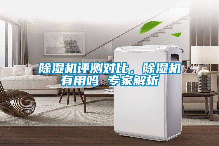 91看片在线下载機評測對比，91看片在线下载機有用嗎 專家解析