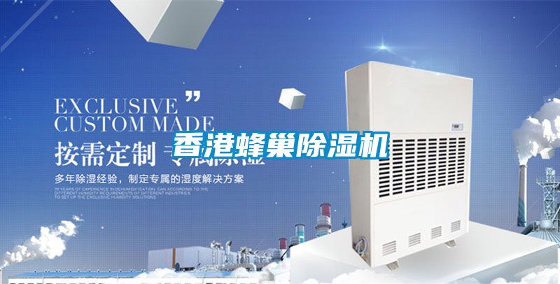 香港蜂巢91看片在线下载機
