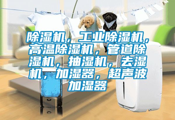 91看片在线下载機，工業91看片在线下载機，高溫91看片在线下载機，管道91看片在线下载機，抽濕機，去濕機，加濕器，超聲波加濕器