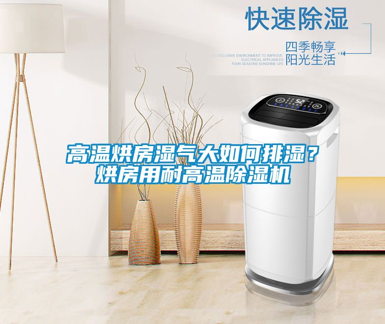 高溫烘房濕氣大如何排濕？烘房用耐高溫91看片在线下载機