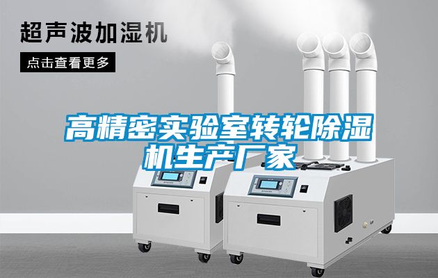 高精密實驗室轉輪91看片在线下载機生產廠家