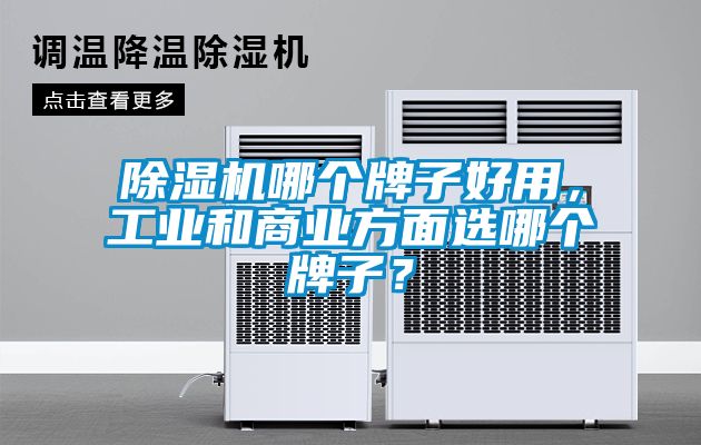 91看片在线下载機哪個牌子好用，工業和商業方麵選哪個牌子？