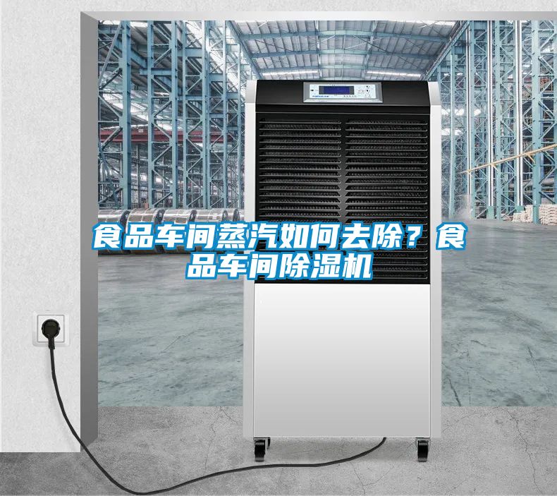 食品車間蒸汽如何去除？食品車間91看片在线下载機