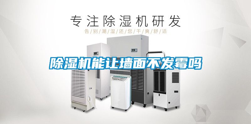 91看片在线下载機能讓牆麵不發黴嗎