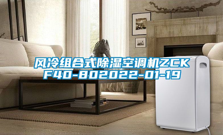 風冷組合式91看片在线下载空調機ZCKF40-802022-01-19