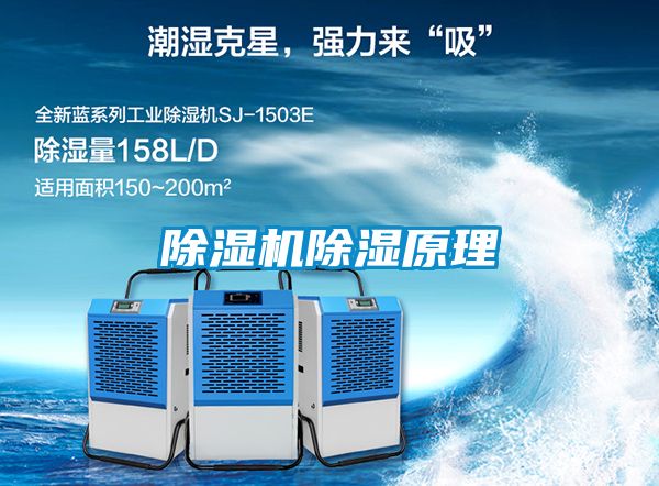 91看片在线下载機91看片在线下载原理