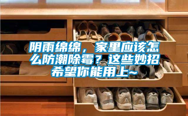 陰雨綿綿，家裏應該怎麽防潮除黴？這些妙招希望你能用上~