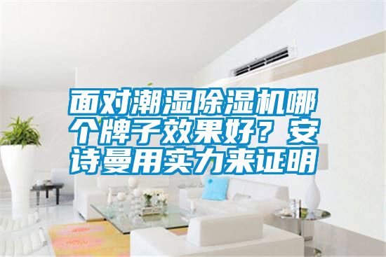 麵對潮濕91看片在线下载機哪個牌子效果好？91免费看片APP用實力來證明