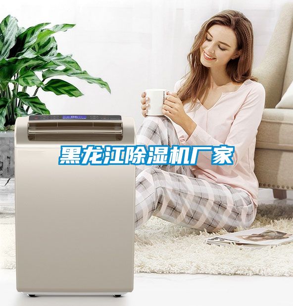 黑龍江91看片在线下载機廠家