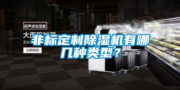 非標定製91看片在线下载機有哪幾種類型？