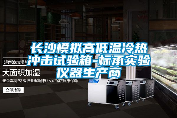 長沙模擬高低溫冷熱衝擊試驗箱-標承實驗儀器生產商
