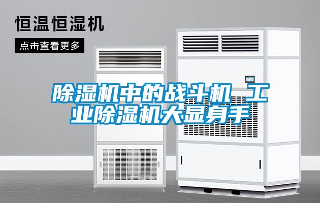 91看片在线下载機中的戰鬥機 工業91看片在线下载機大顯身手