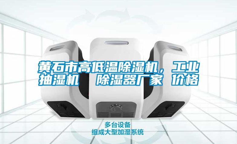 黃石市高低溫91看片在线下载機，工業抽濕機  91看片在线下载器廠家 價格