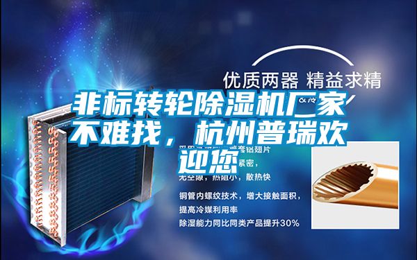 非標轉輪91看片在线下载機廠家不難找，杭州普瑞歡迎您