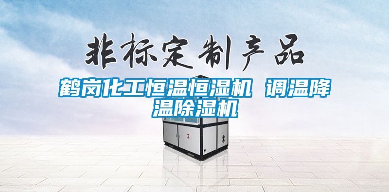 鶴崗化工恒溫恒濕機 調溫降溫91看片在线下载機