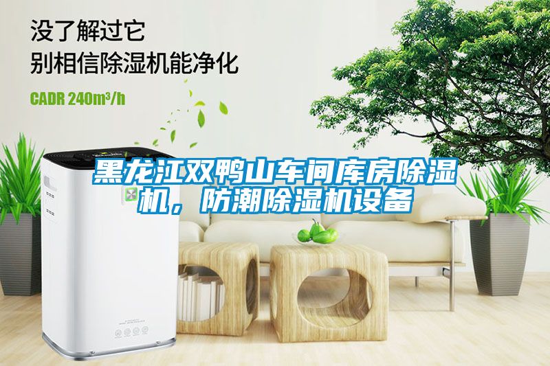 黑龍江雙鴨山車間庫房91看片在线下载機，防潮91看片在线下载機設備