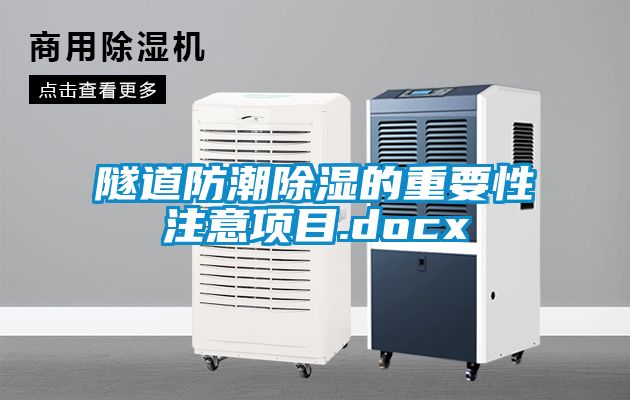 隧道防潮91看片在线下载的重要性注意項目.docx