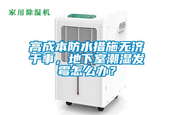 高成本防水措施無濟於事，地下室潮濕發黴怎麽辦？