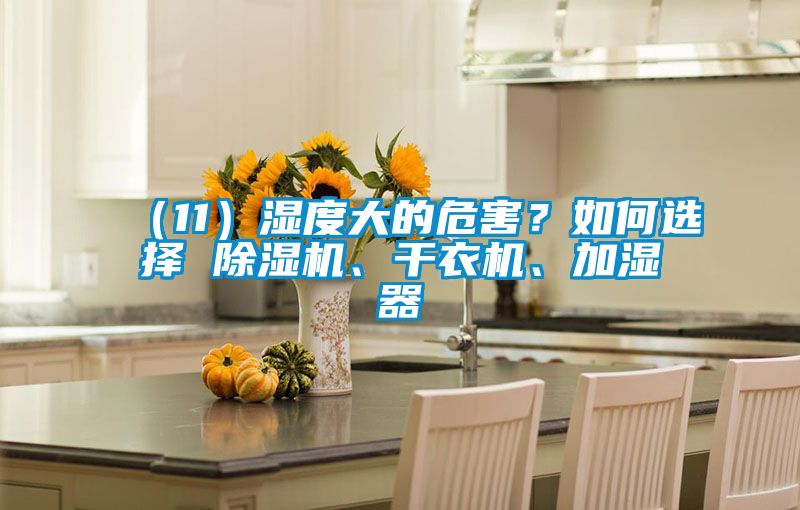 （11）濕度大的危害？如何選擇 91看片在线下载機、幹衣機、加濕器