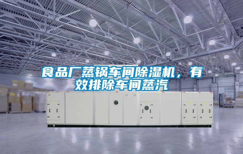 食品廠蒸鍋車間91看片在线下载機，有效排除車間蒸汽