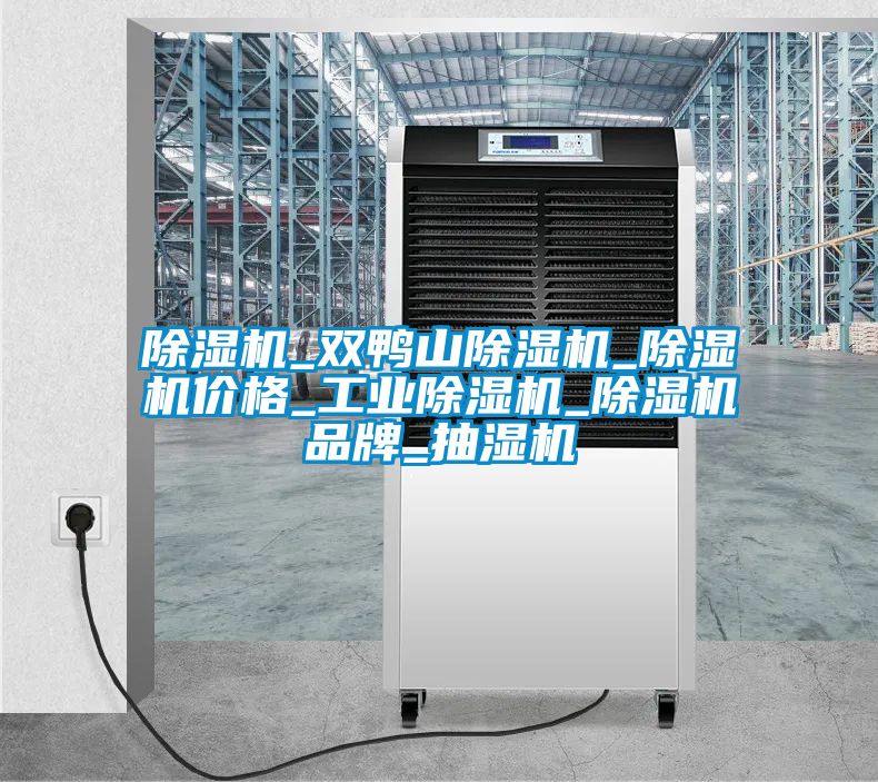 91看片在线下载機_雙鴨山91看片在线下载機_91看片在线下载機價格_工業91看片在线下载機_91看片在线下载機品牌_抽濕機