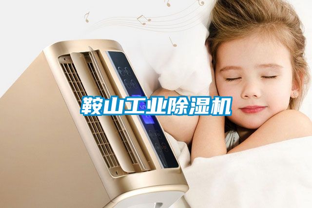 鞍山工業91看片在线下载機