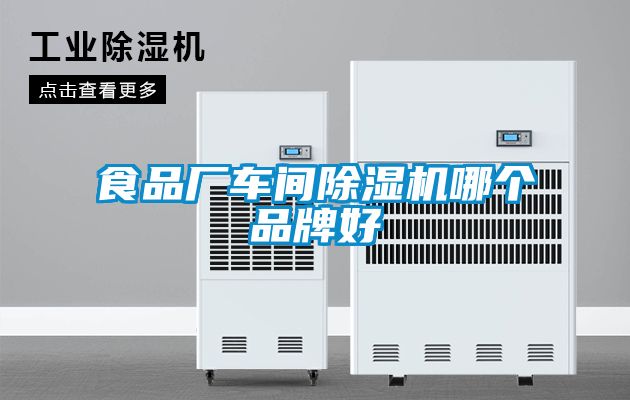 食品廠車間91看片在线下载機哪個品牌好
