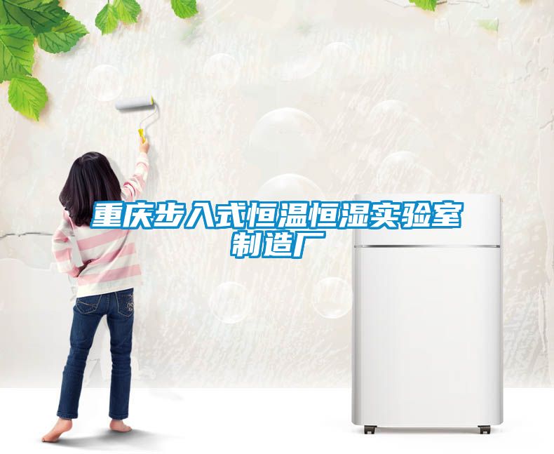 重慶步入式恒溫恒濕實驗室製造廠