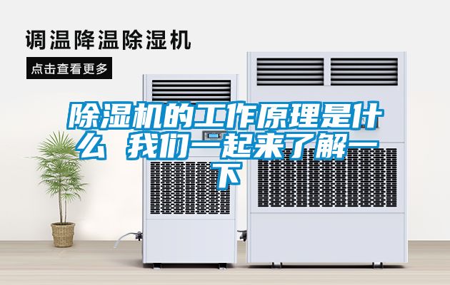 91看片在线下载機的工作原理是什麽 91免费看片APP一起來了解一下