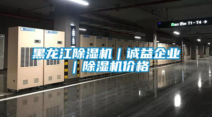 黑龍江91看片在线下载機｜誠益企業｜91看片在线下载機價格