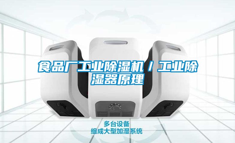 食品廠工業91看片在线下载機／工業91看片在线下载器原理