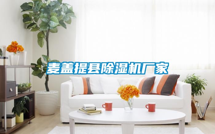 麥蓋提縣91看片在线下载機廠家