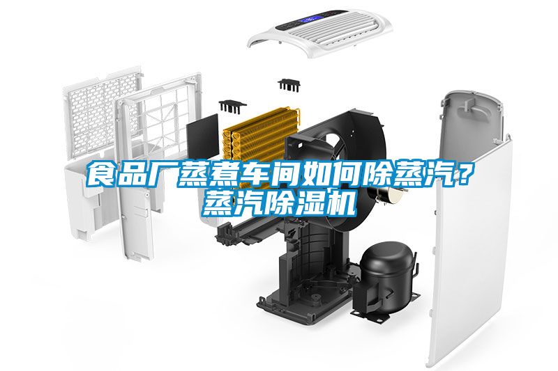 食品廠蒸煮車間如何除蒸汽？蒸汽91看片在线下载機