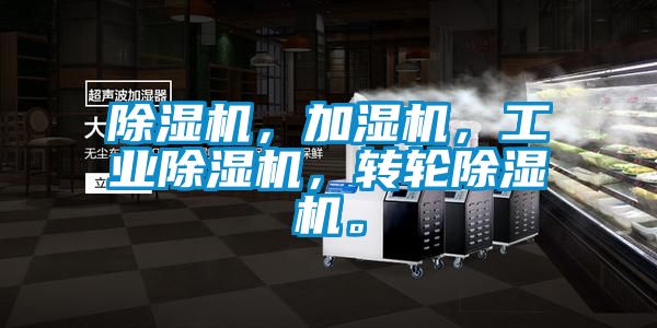 91看片在线下载機，加濕機，工業91看片在线下载機，轉輪91看片在线下载機。