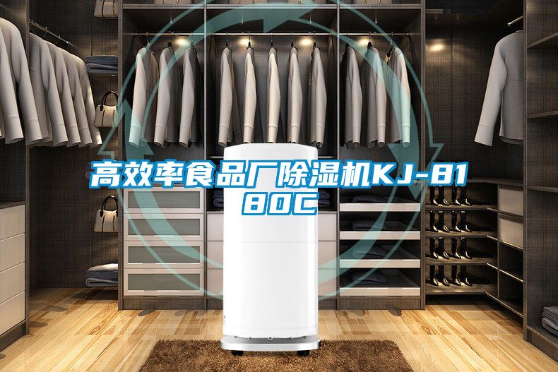 高效率食品廠91看片在线下载機KJ-8180C