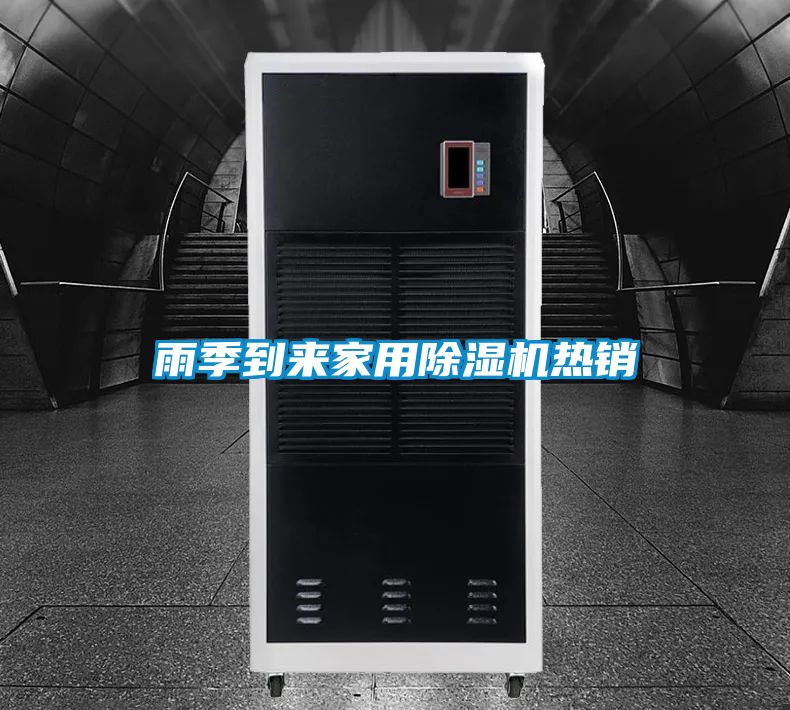 雨季到來家用91看片在线下载機熱銷