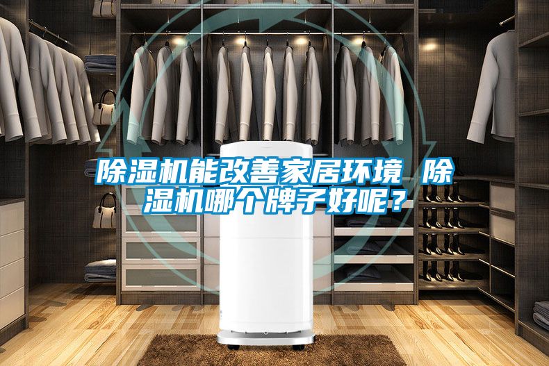 91看片在线下载機能改善家居環境 91看片在线下载機哪個牌子好呢？