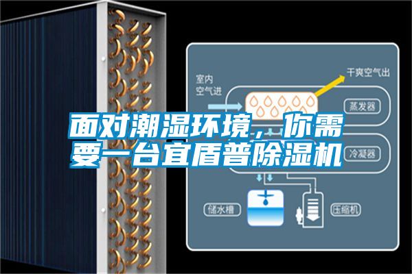 麵對潮濕環境，你需要一台宜盾普91看片在线下载機