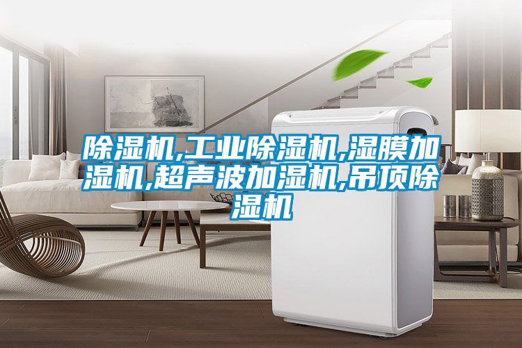 91看片在线下载機,工業91看片在线下载機,濕膜加濕機,超聲波加濕機,吊頂91看片在线下载機
