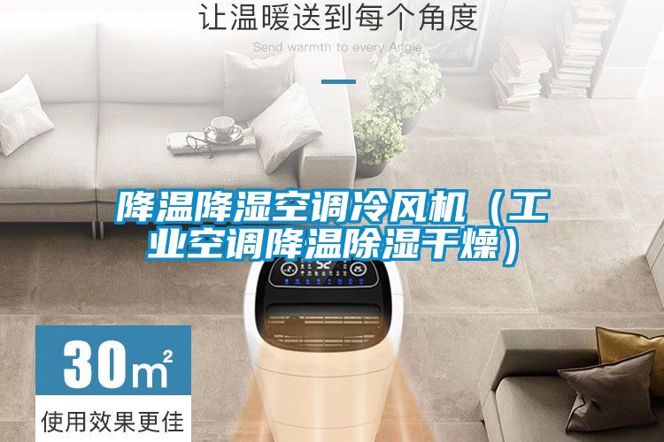降溫降濕空調冷風機（工業空調降溫91看片在线下载幹燥）