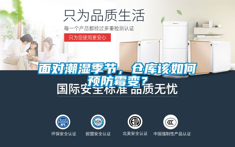 麵對潮濕季節，倉庫該如何預防黴變？
