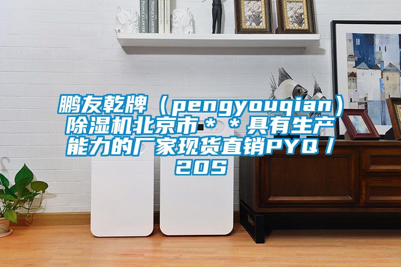 鵬友乾牌（pengyouqian）91看片在线下载機北京市＊＊具有生產能力的廠家現貨直銷PYQ／20S