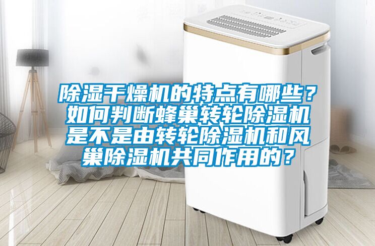 91看片在线下载幹燥機的特點有哪些？如何判斷蜂巢轉輪91看片在线下载機是不是由轉輪91看片在线下载機和風巢91看片在线下载機共同作用的？