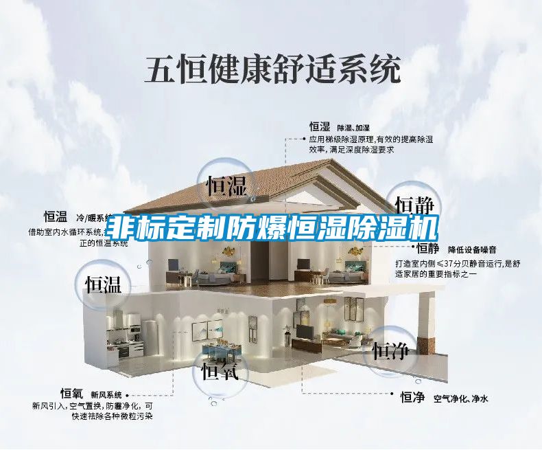 非標定製防爆恒濕91看片在线下载機