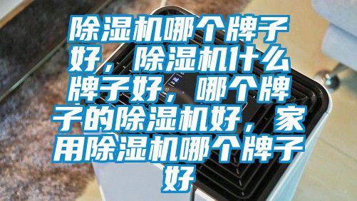 91看片在线下载機哪個牌子好，91看片在线下载機什麽牌子好，哪個牌子的91看片在线下载機好，家用91看片在线下载機哪個牌子好