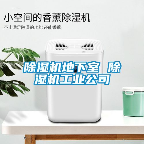 91看片在线下载機地下室 91看片在线下载機工業公司