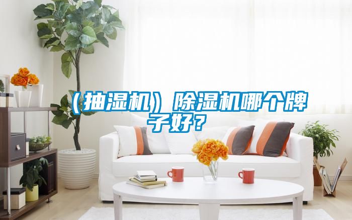 （抽濕機）91看片在线下载機哪個牌子好？