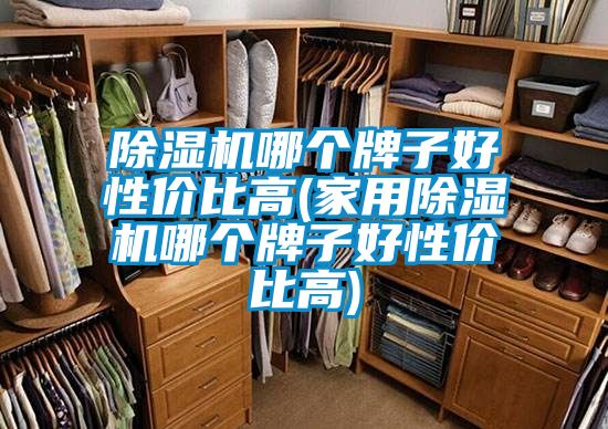 91看片在线下载機哪個牌子好性價比高(家用91看片在线下载機哪個牌子好性價比高)