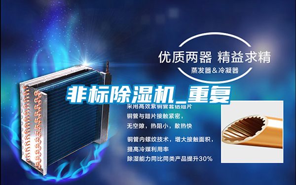 非標91看片在线下载機_重複